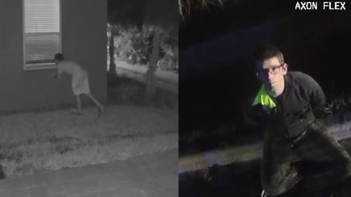 WATCH: Florida man accused of hiding in swamp after peeking in woman's window, deputies say